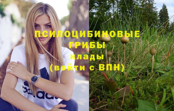 МДПВ Абаза