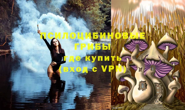 дмт Абинск