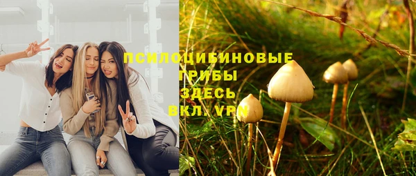 дмт Абинск